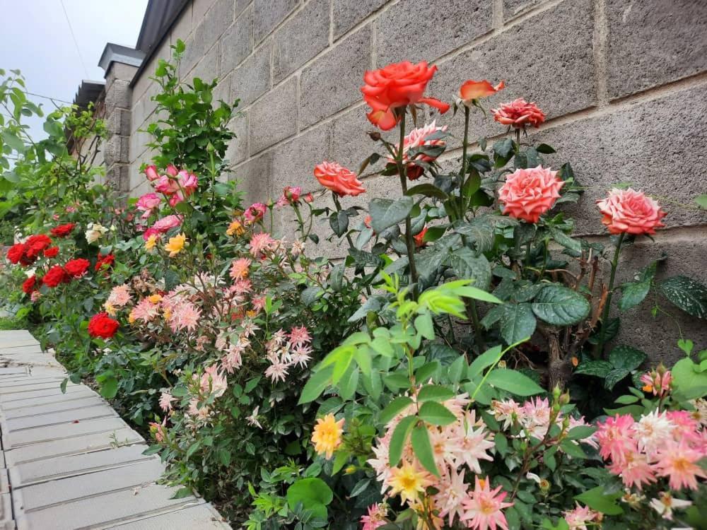 Homestay Jaisel Бишкек Екстериор снимка